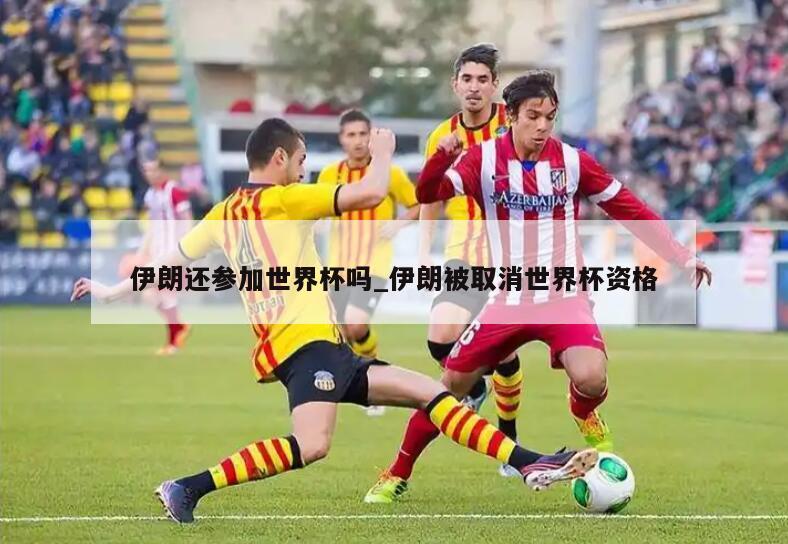 伊朗还参加世界杯吗_伊朗被取消世界杯资格