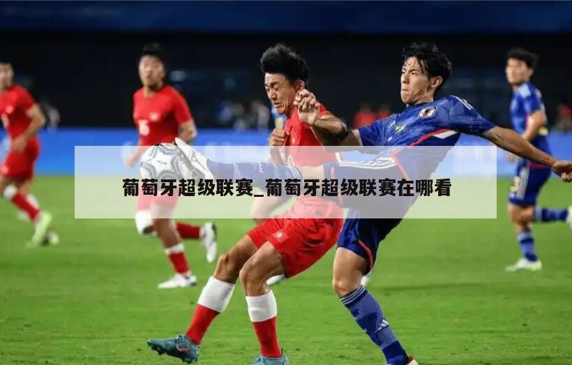 葡萄牙超级联赛_葡萄牙超级联赛在哪看