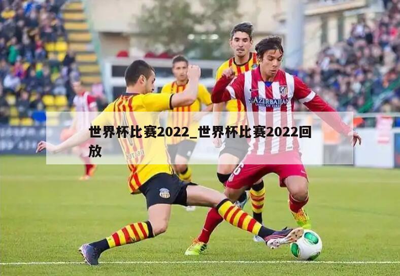 世界杯比赛2022_世界杯比赛2022回放