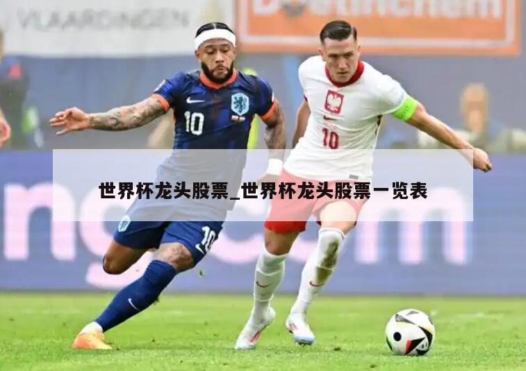 世界杯龙头股票_世界杯龙头股票一览表