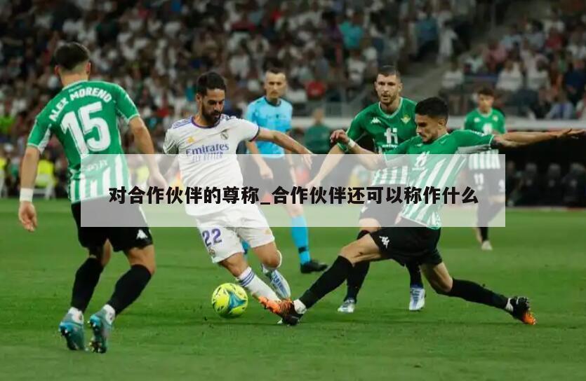 对合作伙伴的尊称_合作伙伴还可以称作什么