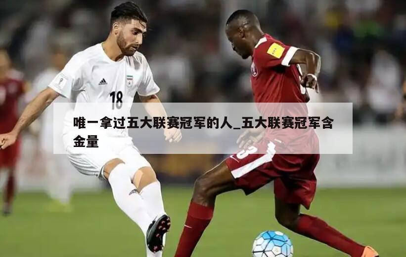 唯一拿过五大联赛冠军的人_五大联赛冠军含金量