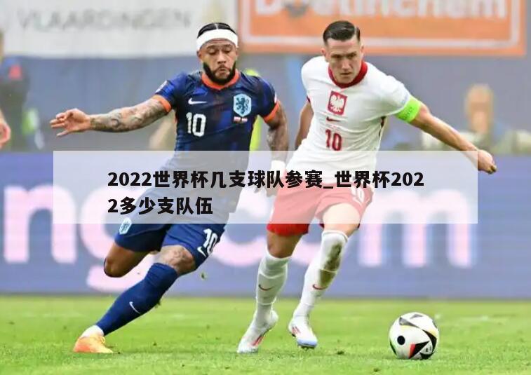 2022世界杯几支球队参赛_世界杯2022多少支队伍