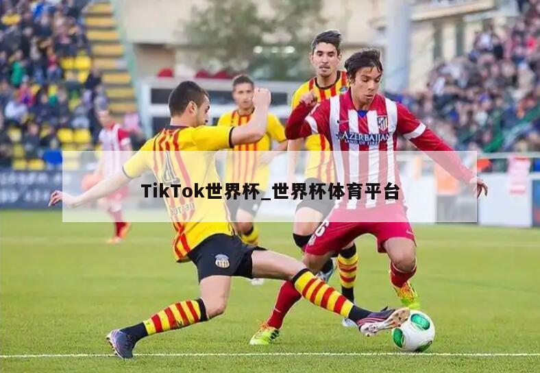 TikTok世界杯_世界杯体育平台