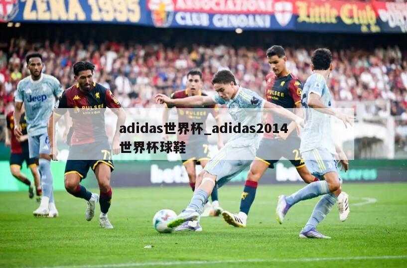 adidas世界杯_adidas2014世界杯球鞋