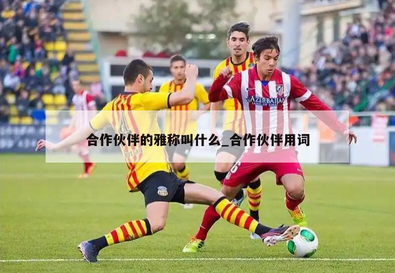 合作伙伴的雅称叫什么_合作伙伴用词