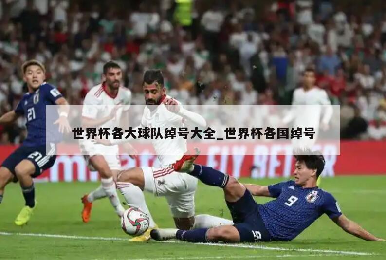 世界杯各大球队绰号大全_世界杯各国绰号