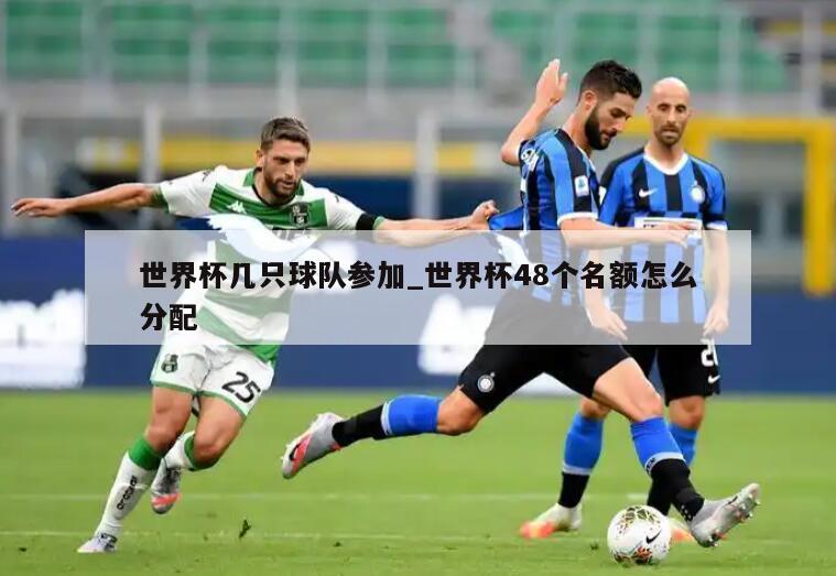 世界杯几只球队参加_世界杯48个名额怎么分配