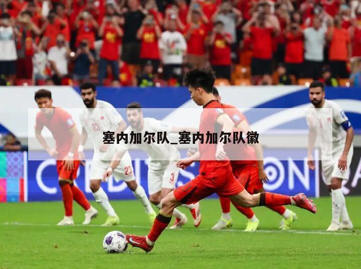 塞内加尔队_塞内加尔队徽