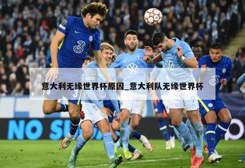 意大利无缘世界杯原因_意大利队无缘世界杯