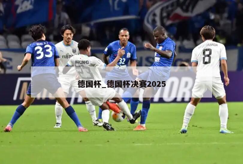 德国杯_德国杯决赛2025