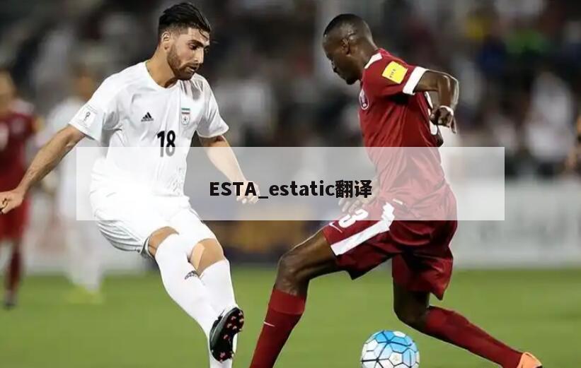 ESTA_estatic翻译