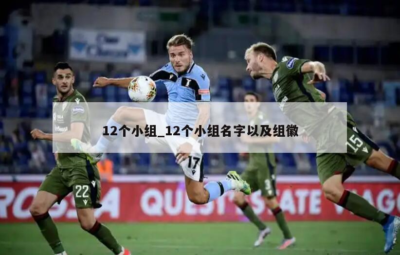 12个小组_12个小组名字以及组徽