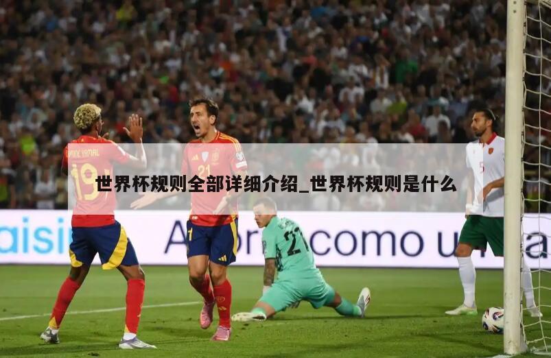 世界杯规则全部详细介绍_世界杯规则是什么