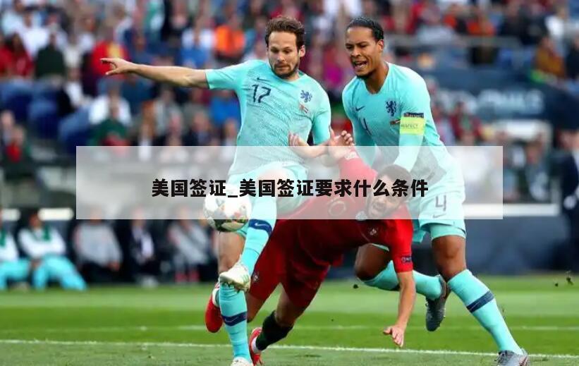 美国签证_美国签证要求什么条件