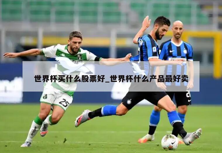 世界杯买什么股票好_世界杯什么产品最好卖