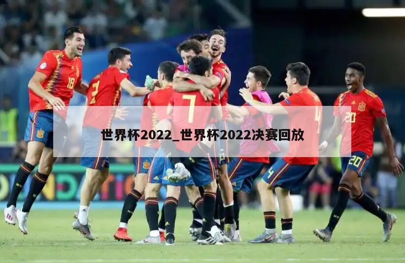 世界杯2022_世界杯2022决赛回放