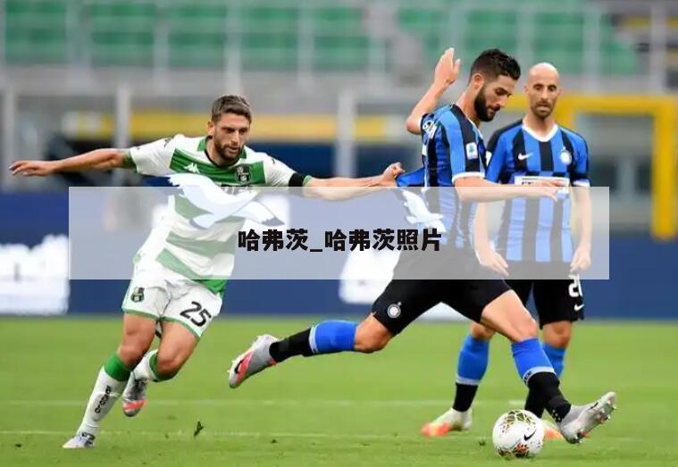 哈弗茨_哈弗茨照片