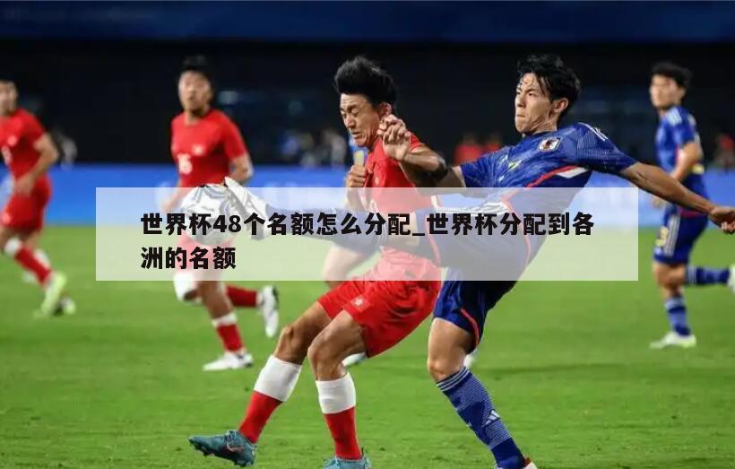 世界杯48个名额怎么分配_世界杯分配到各洲的名额