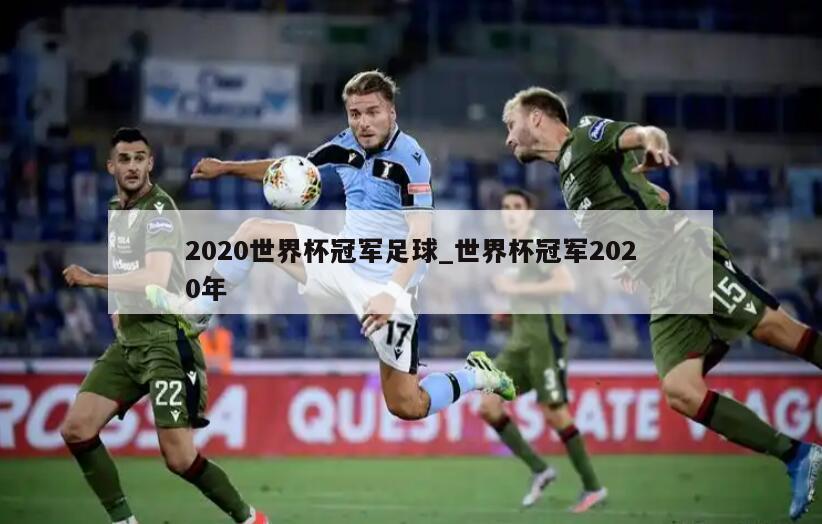 2020世界杯冠军足球_世界杯冠军2020年