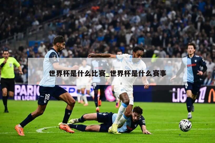 世界杯是什么比赛_世界杯是什么赛事