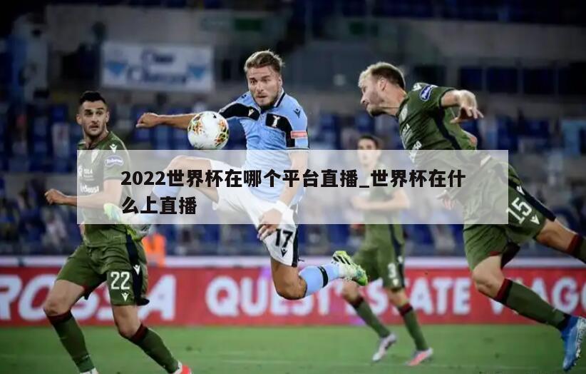 2022世界杯在哪个平台直播_世界杯在什么上直播