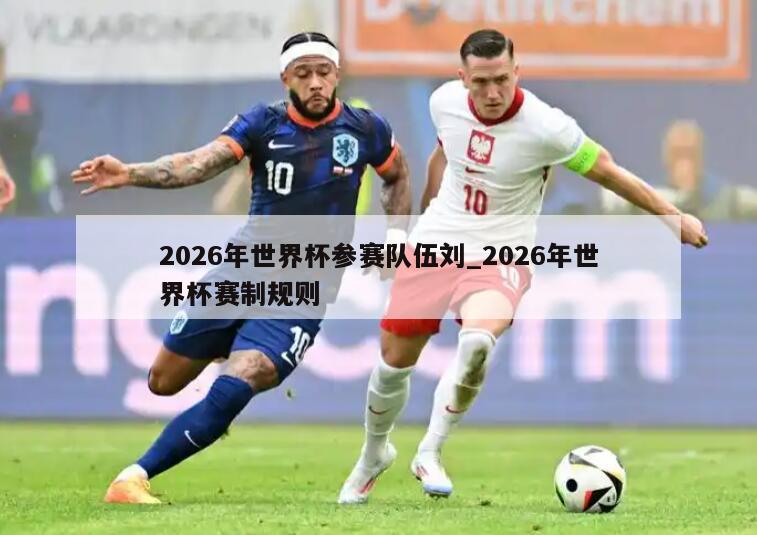 2026年世界杯参赛队伍刘_2026年世界杯赛制规则