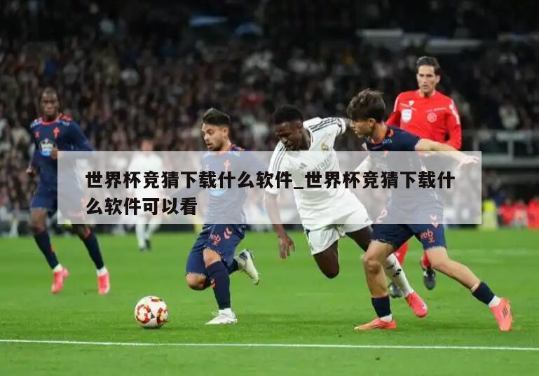 世界杯竞猜下载什么软件_世界杯竞猜下载什么软件可以看