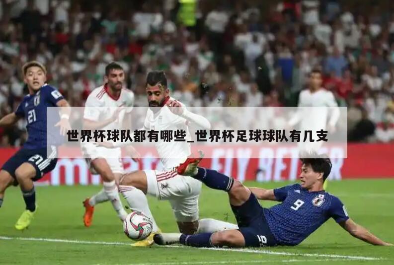 世界杯球队都有哪些_世界杯足球球队有几支